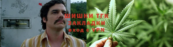 винт Алексин